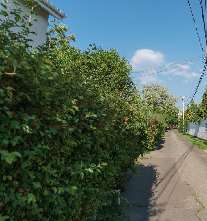 Authentic Odessa Dacha Villa Eksteriør billede
